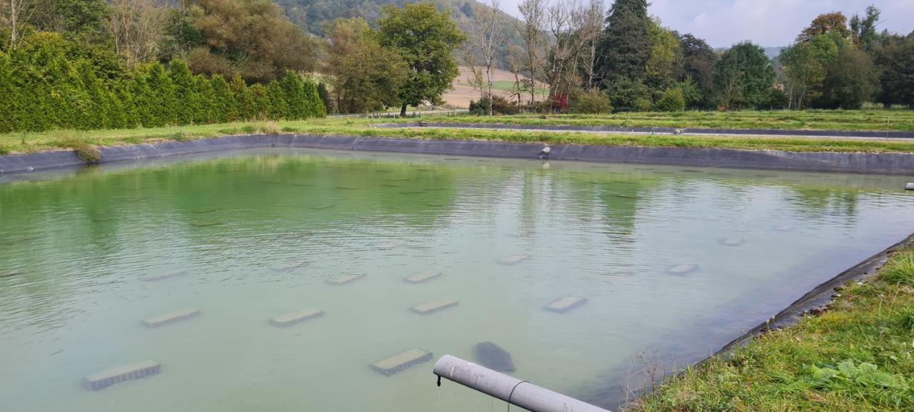 Thonnance-lès-Joinville Le Moulin Aux Ecrevisses B&B 외부 사진