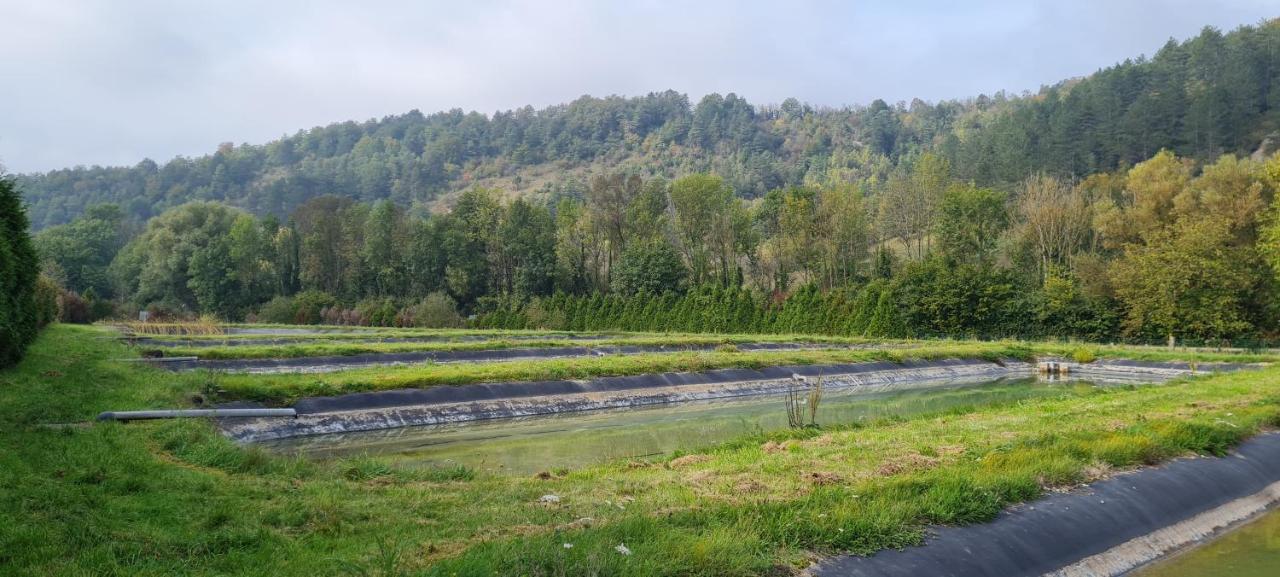 Thonnance-lès-Joinville Le Moulin Aux Ecrevisses B&B 외부 사진