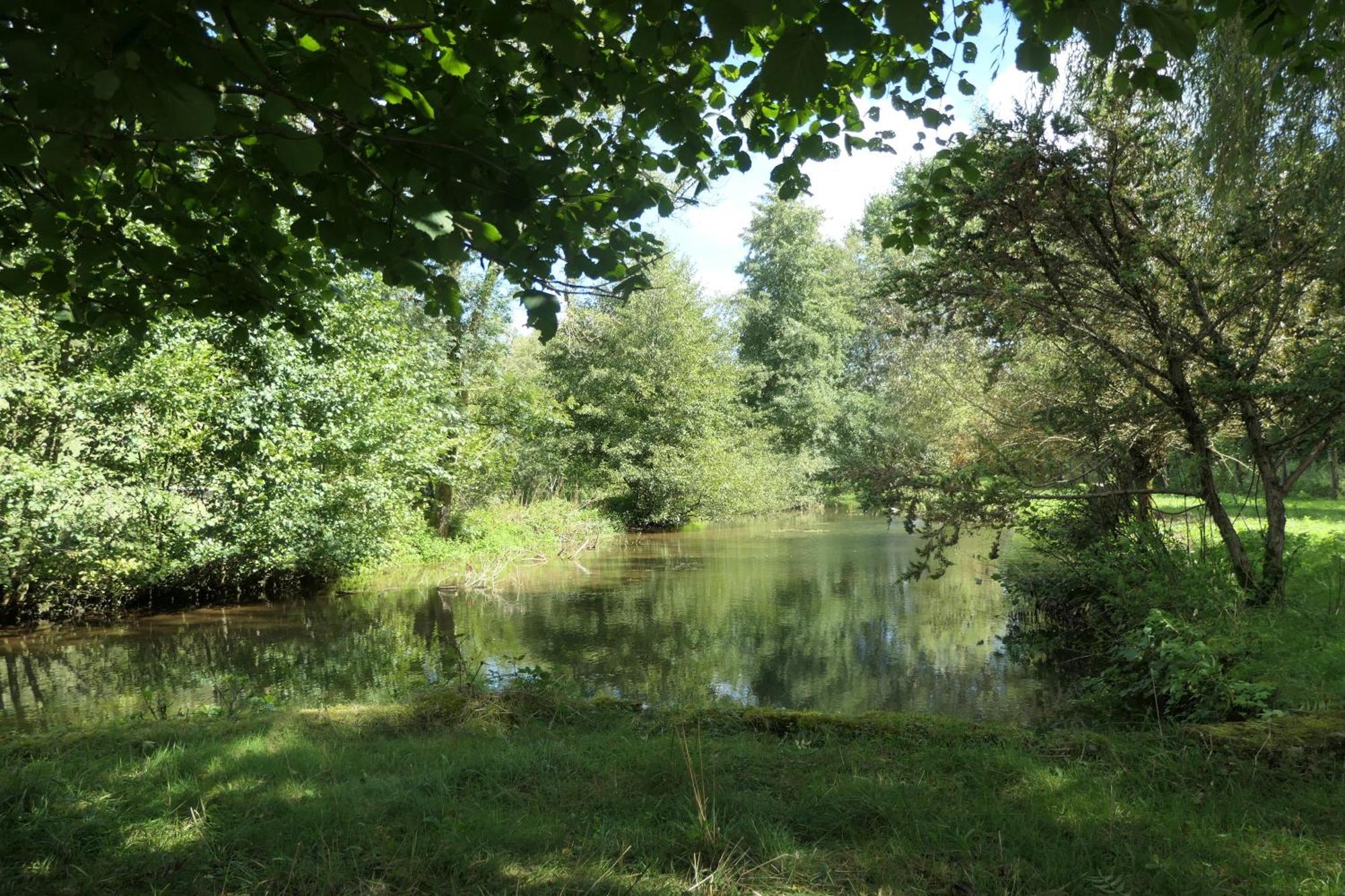 Thonnance-lès-Joinville Le Moulin Aux Ecrevisses B&B 외부 사진